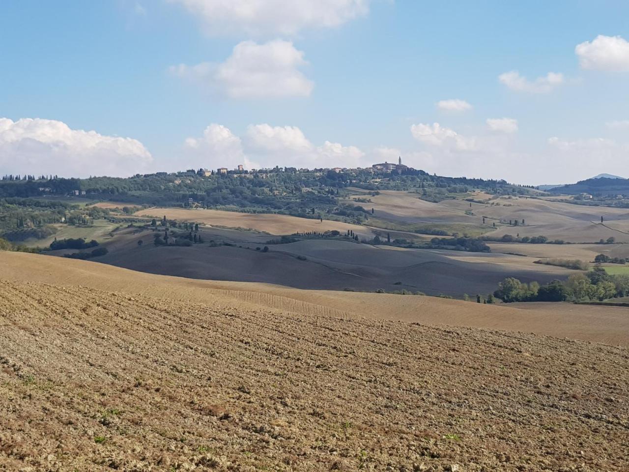 Montefollonico B&B Il Glicine المظهر الخارجي الصورة